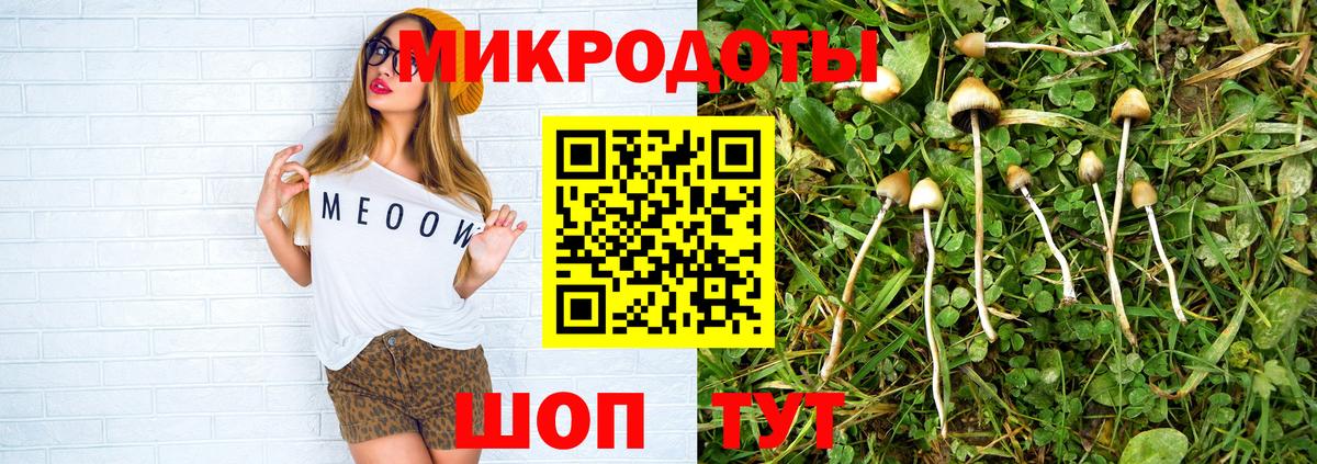 дарнет шоп  Галлюциногенные грибы MAGIC MUSHROOMS  Вход с VPN  Сертолово 